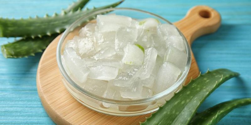 Aloe Vera Aloe Vera